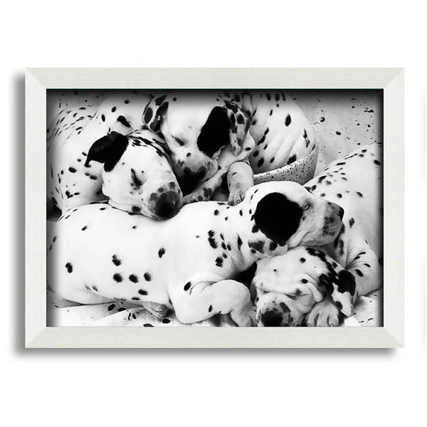 ClassicLiving Riyan Dalmatian Puppies In Dreamland Single Picture